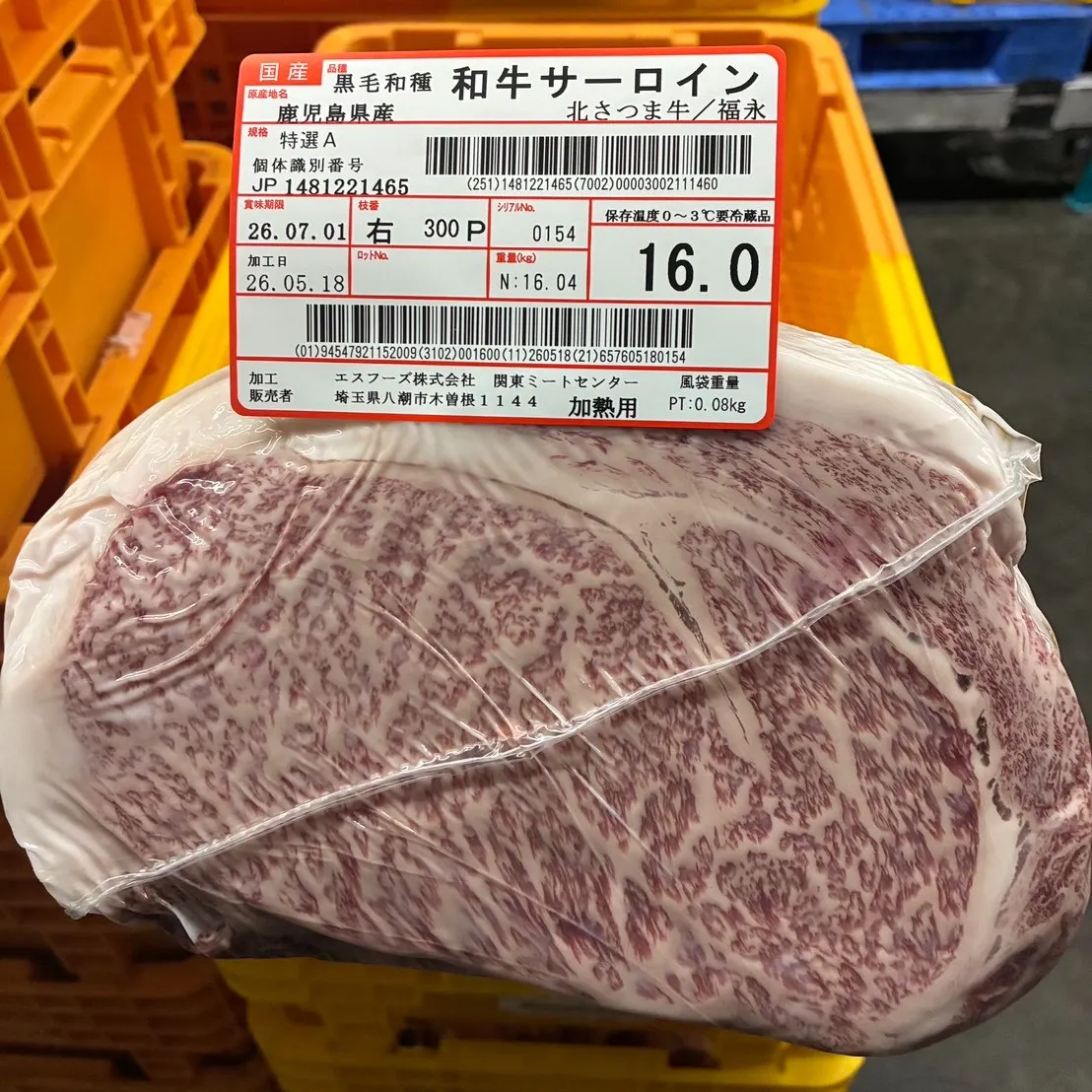 今回もとても綺麗な牛を買い付けしてきました!
