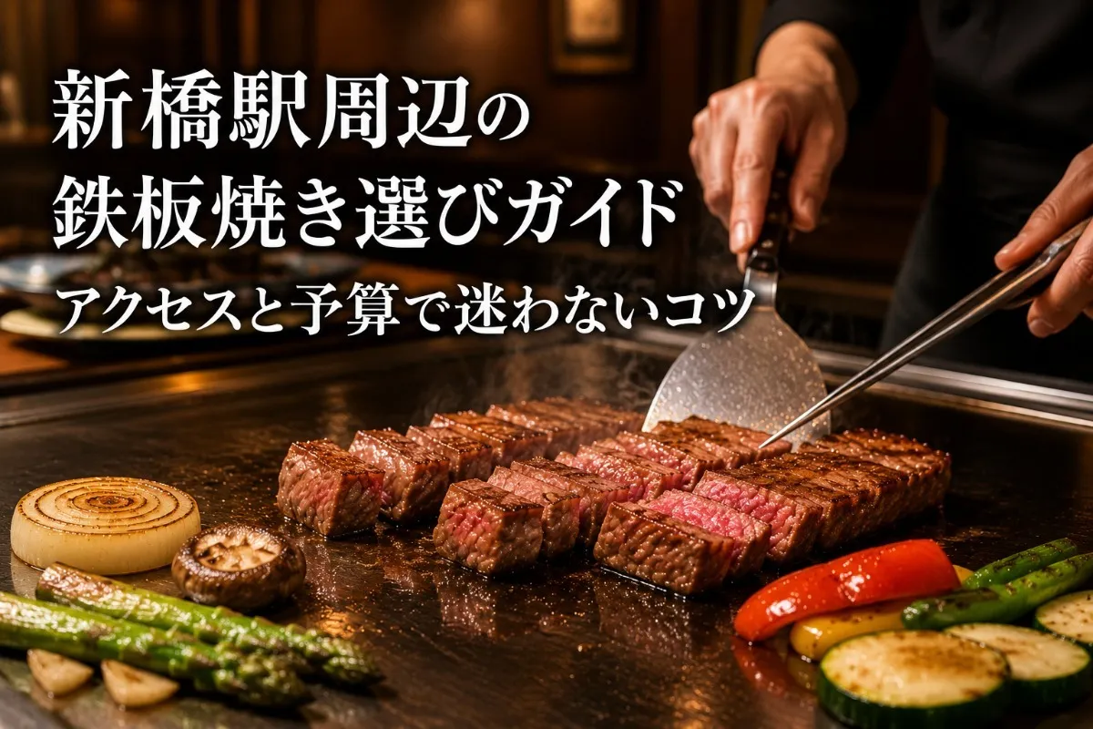 新橋駅周辺の鉄板焼き選びガイド|アクセスと予算で迷わないコツ